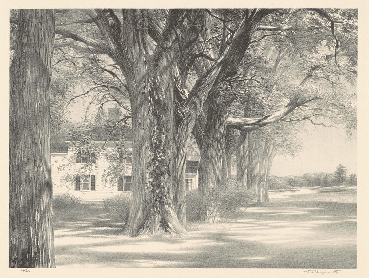 Spring on Pleasant Street by Stow Wengenroth
