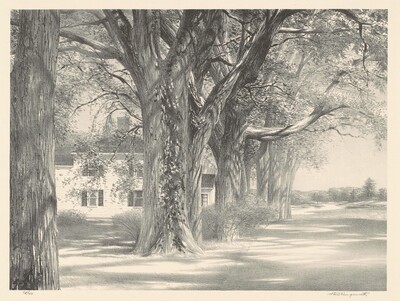 Spring on Pleasant Street