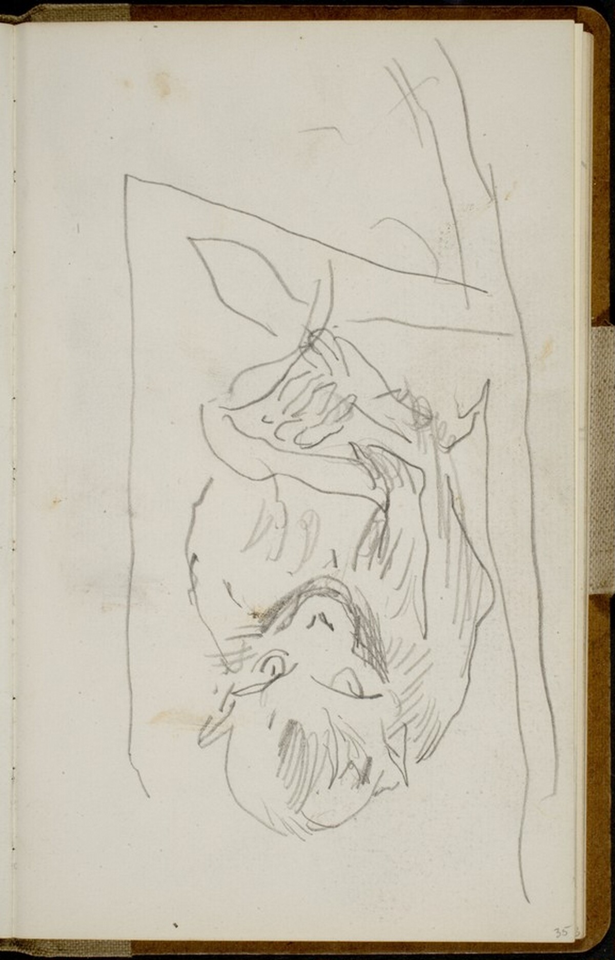 Sitzender Affe (Sitting Monkey) [p. 35] by Max Beckmann
