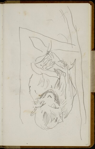 Sitzender Affe (Sitting Monkey) [p. 35]
