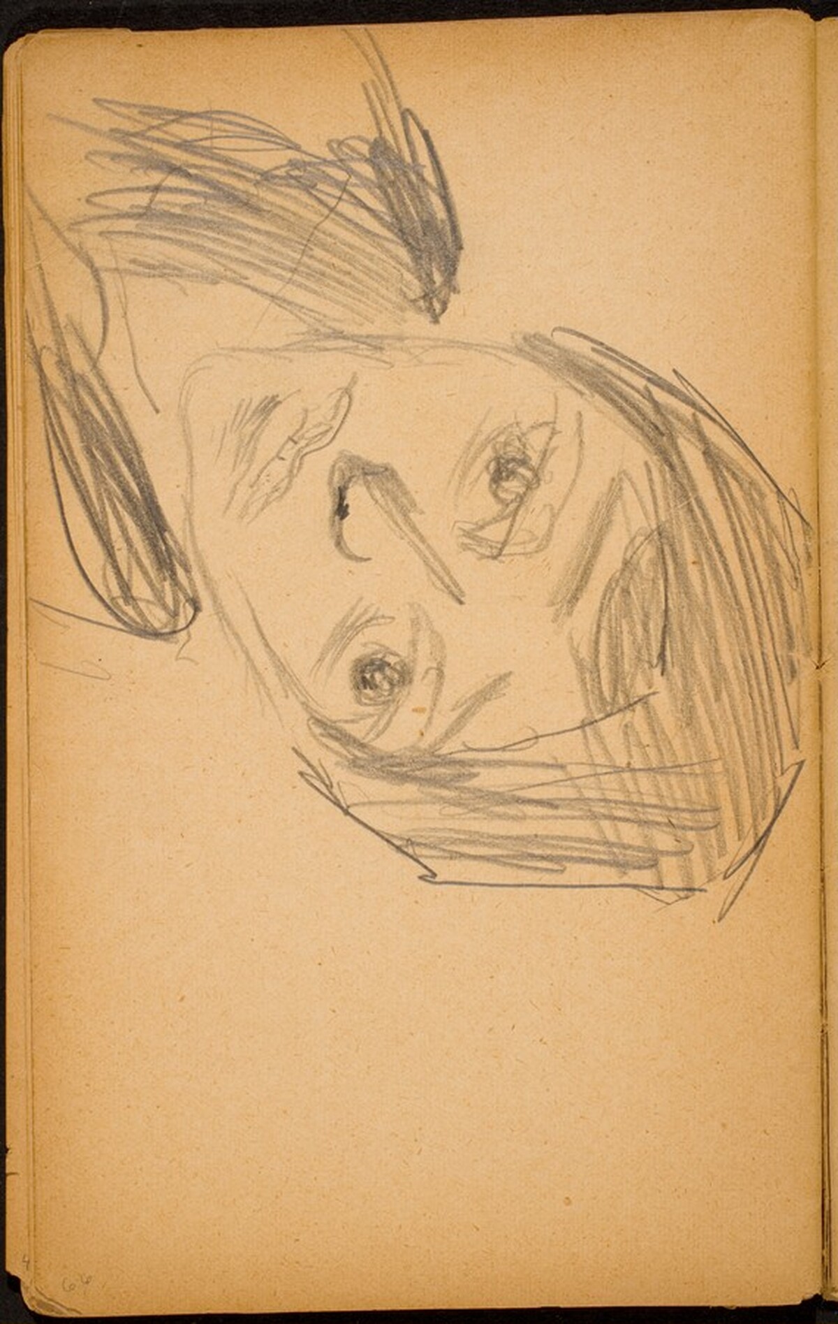 Weibliche Bildnisstudie (Female Portrait Study) [p. 66] by Max Beckmann