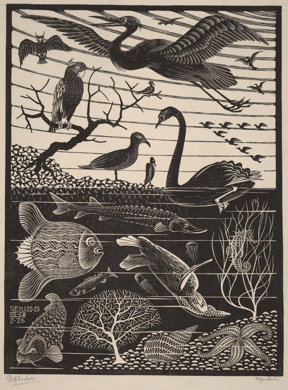 The Fifth Day of the Creation by M.C. Escher