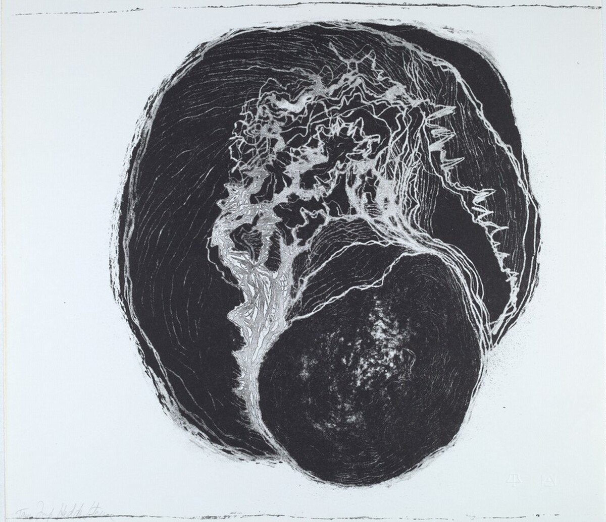 Untitled by Hedda Sterne