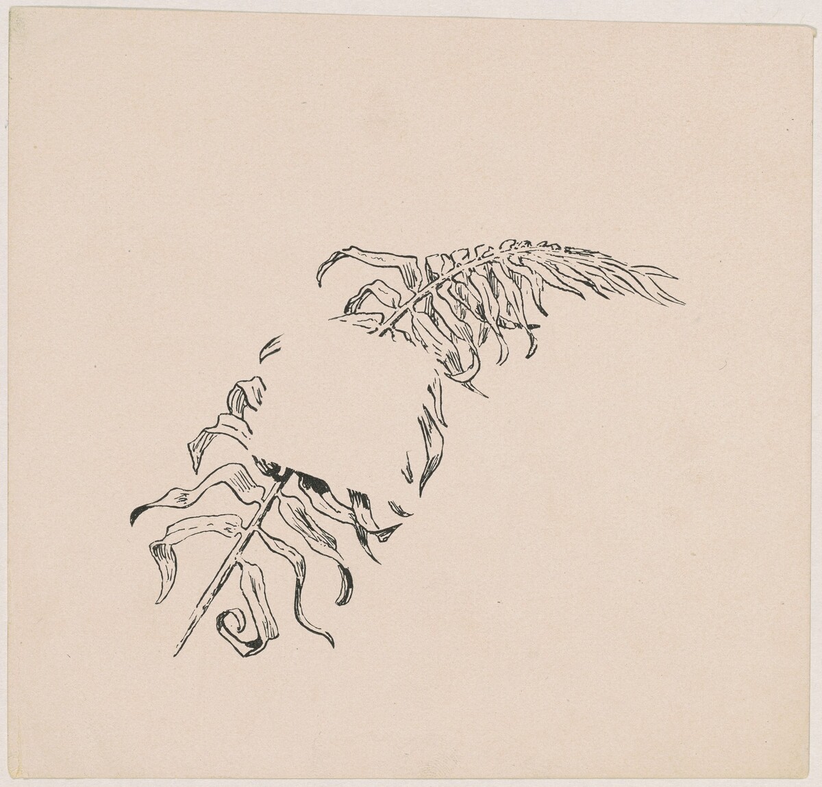 Branch by James Henry Moser