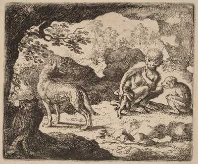 The Wolf and the Monkeys