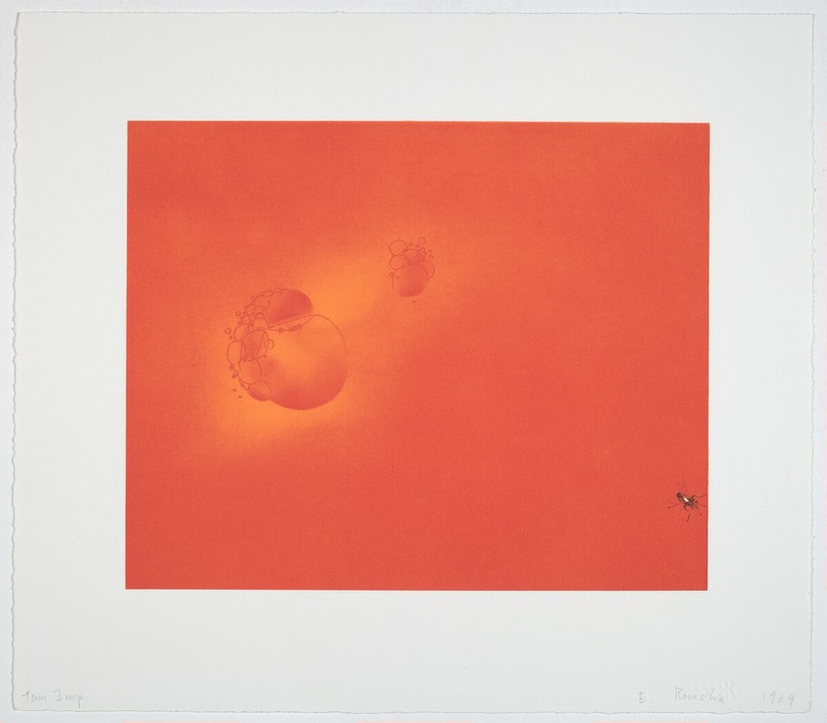Boiling Blood, Fly by Ed Ruscha