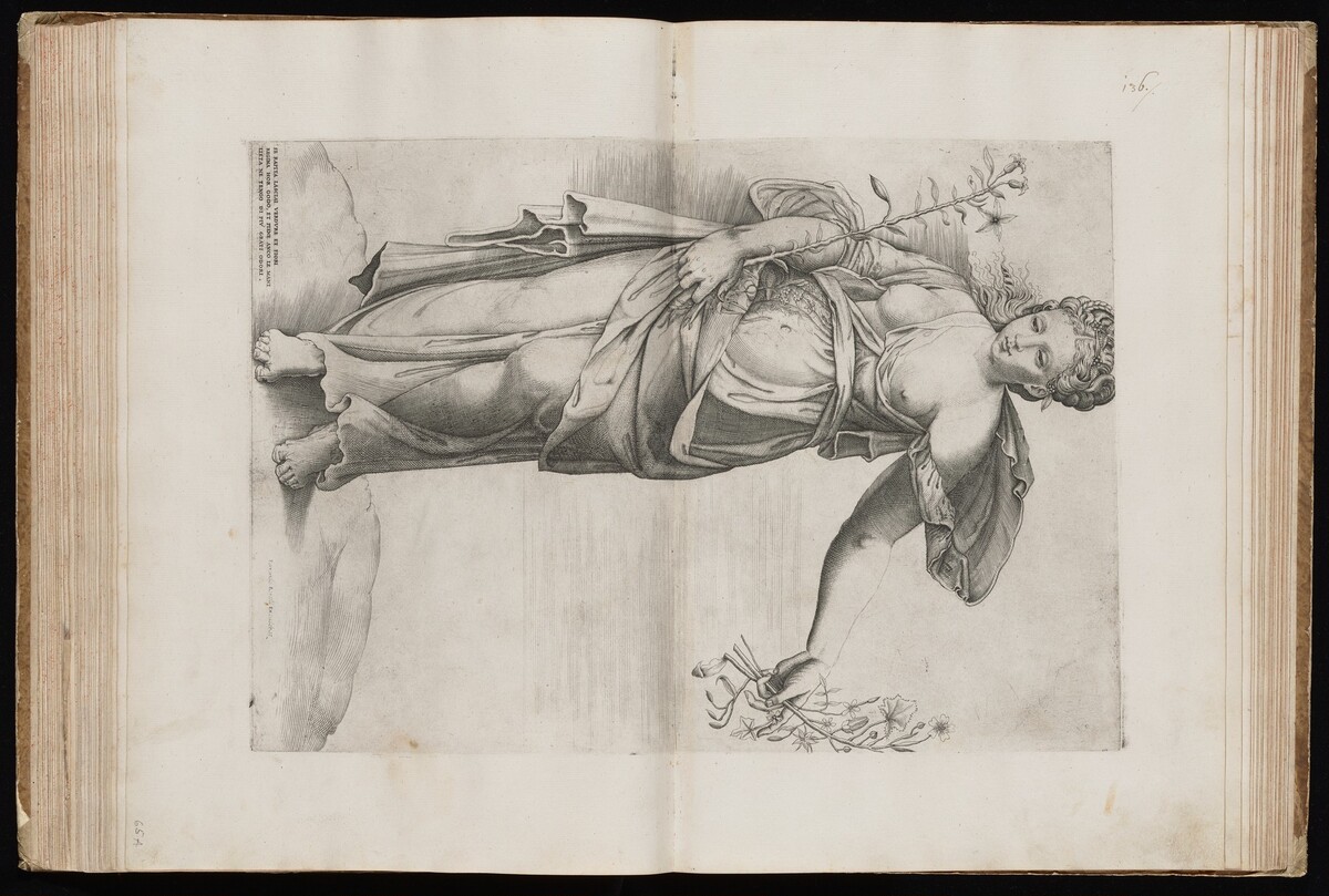 Flora by Attributed to Enea Vico, published by Ferrando Bertelli