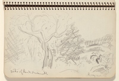 Large Tree