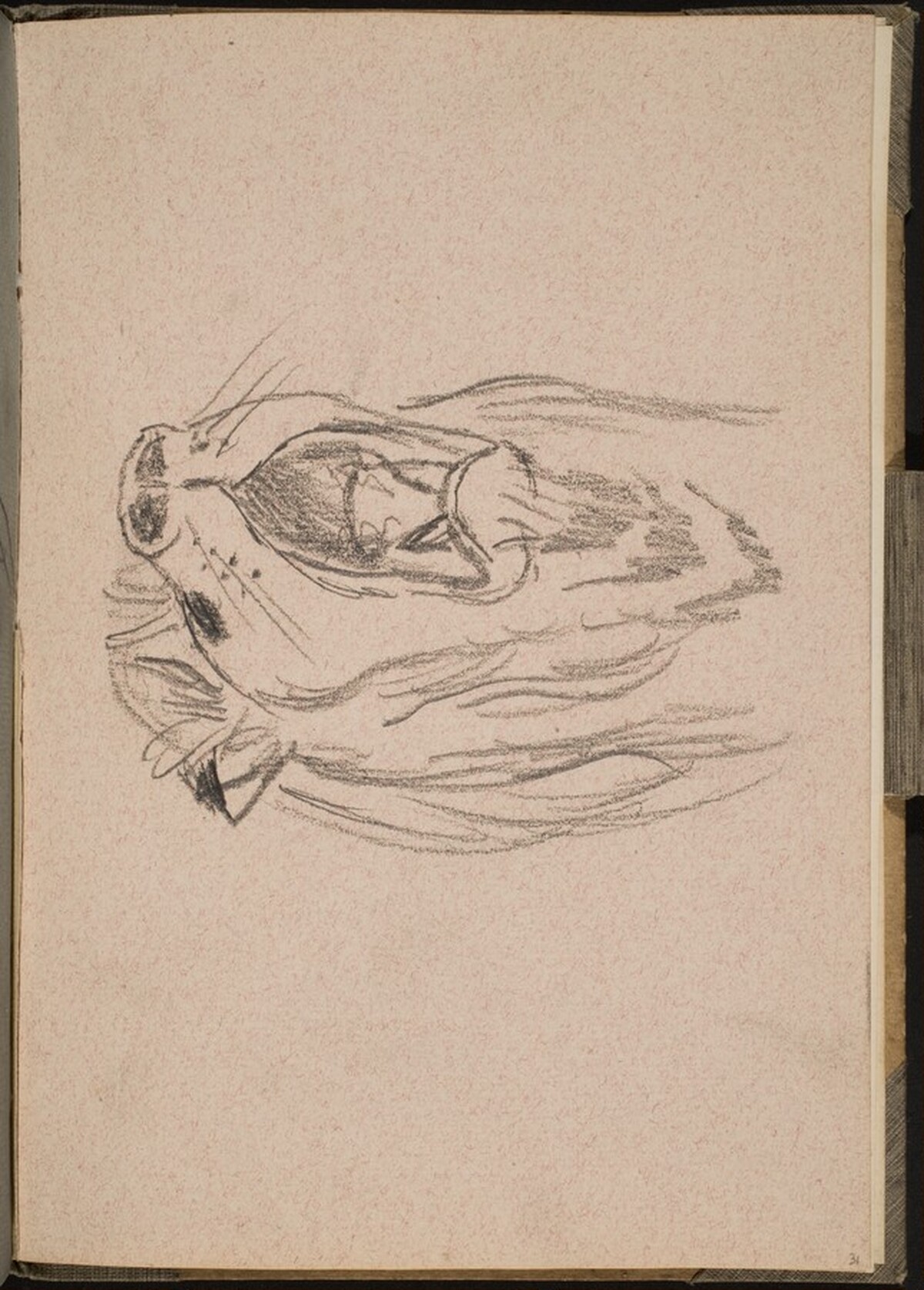 Löwe mit aufgerissenem Maul (Lion Mouth Open) [p. 31] by Max Beckmann