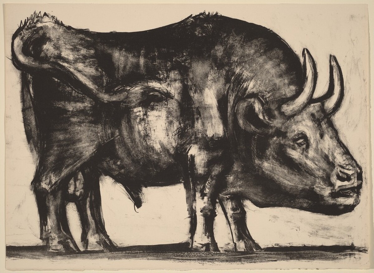 The Bull (Le taureau) by Pablo Picasso