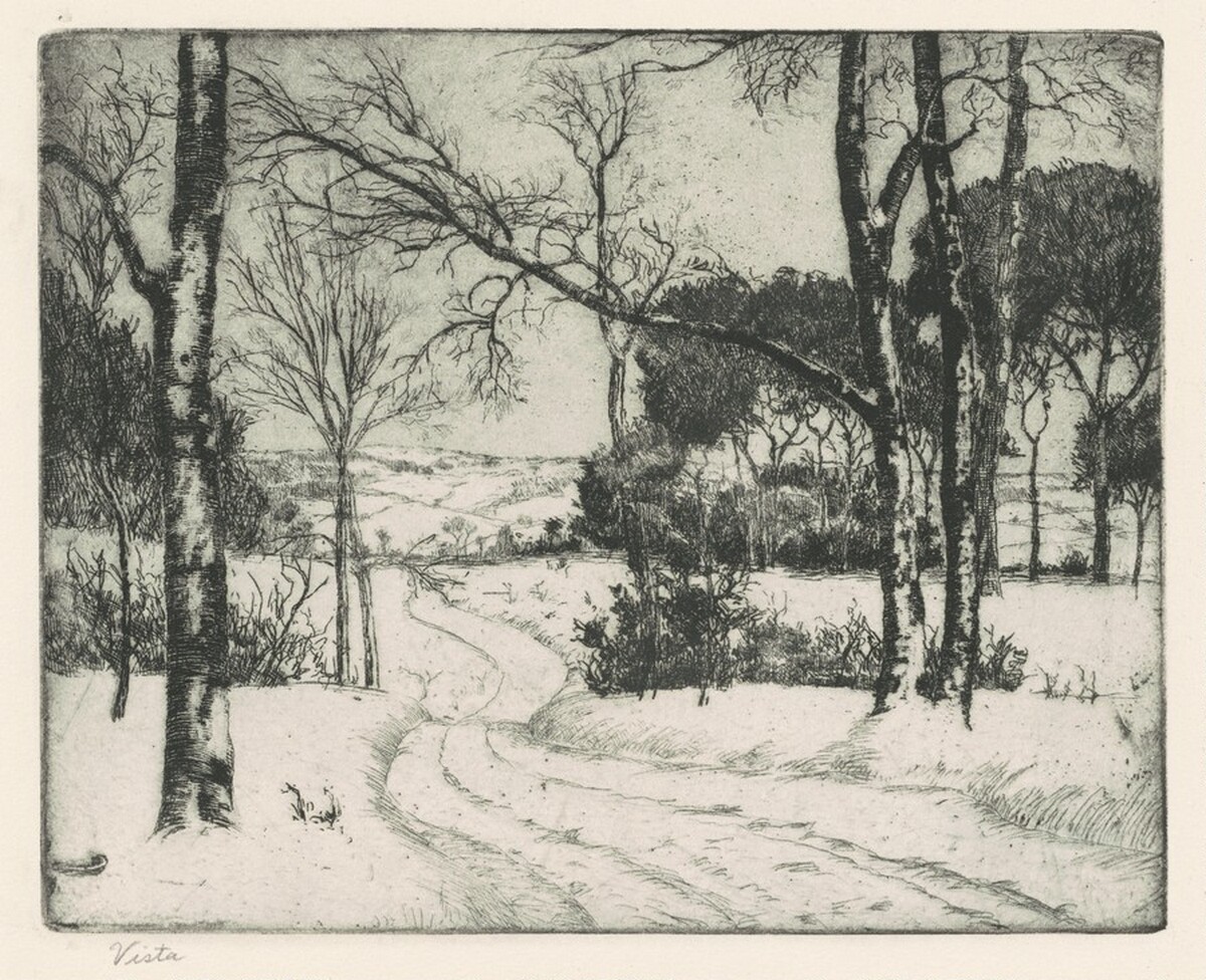Vista by Charles W. Dahlgreen