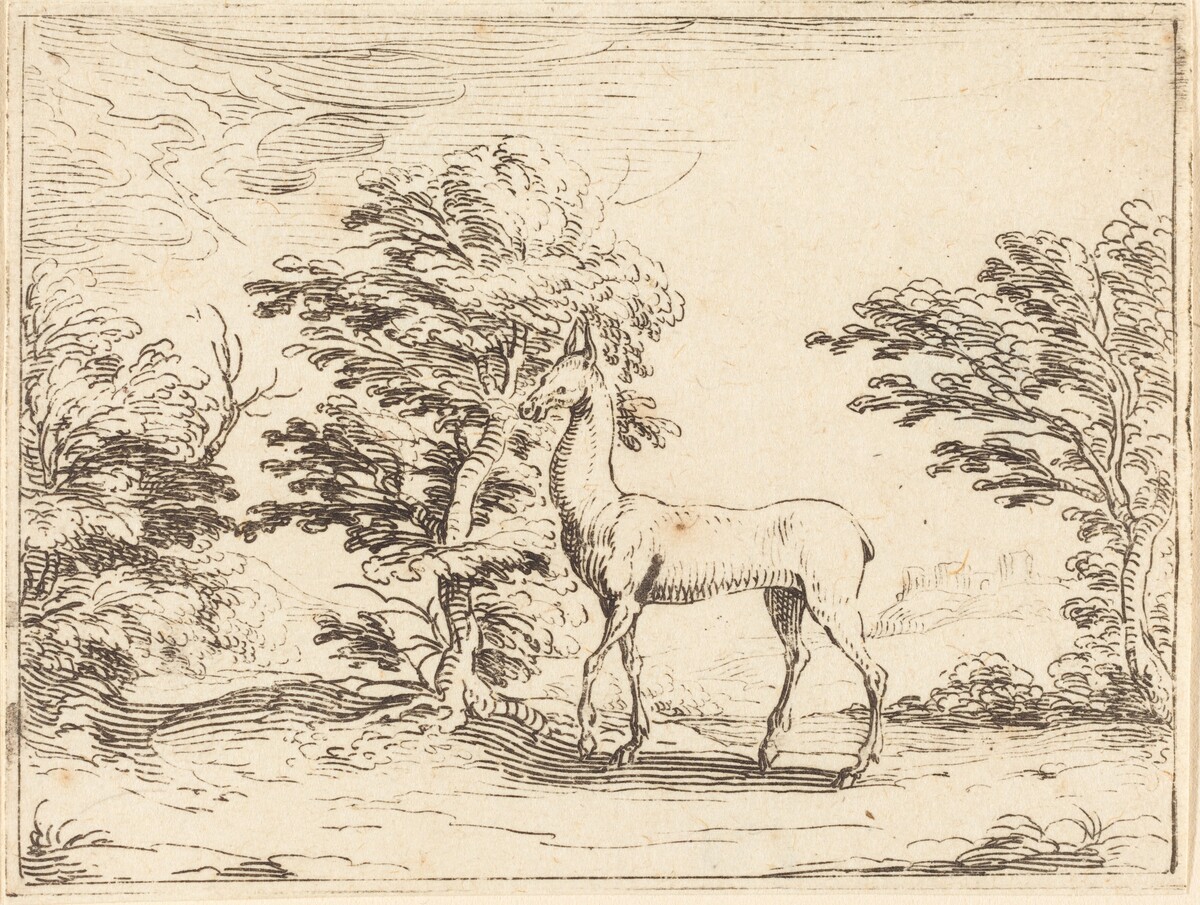 The Doe by Jacques Callot