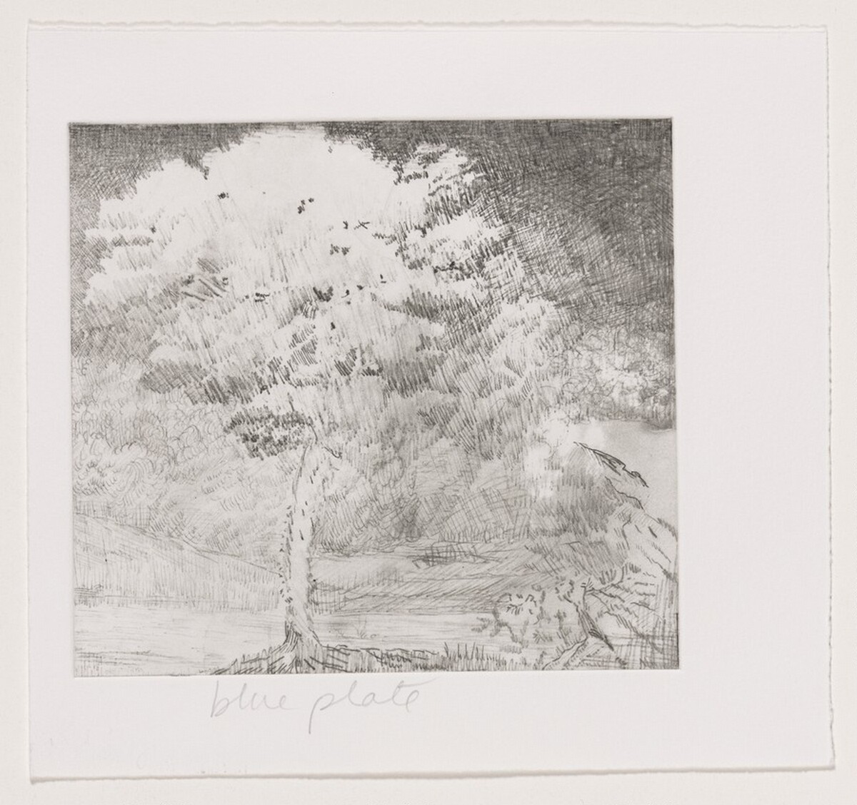 Untitled (#2) [working proof 1c] by Joan Nelson