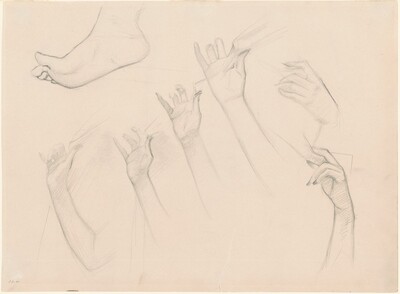 Studies for "Fumee d'Ambre Gris"