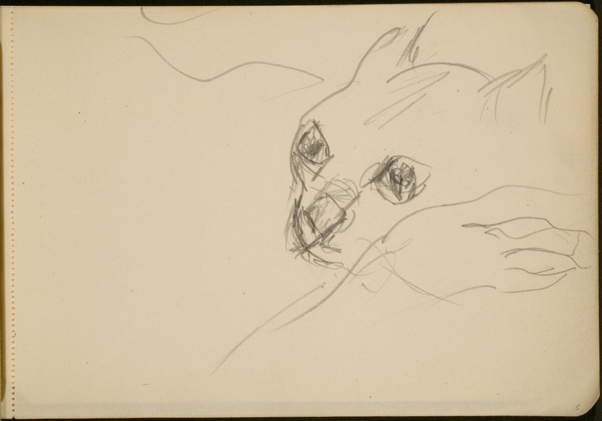 Studie einer Katze (Study of a Cat) [p. 5] by Max Beckmann