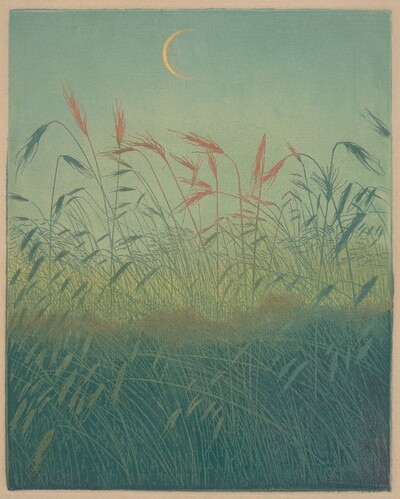 Sickle Moon over a Cornfield