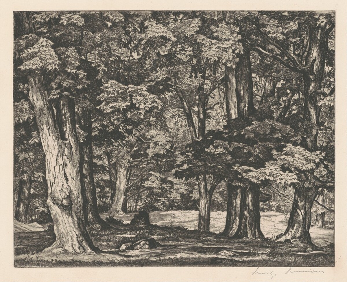 Tree Tapestry by Luigi Lucioni
