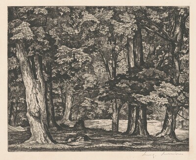 Tree Tapestry