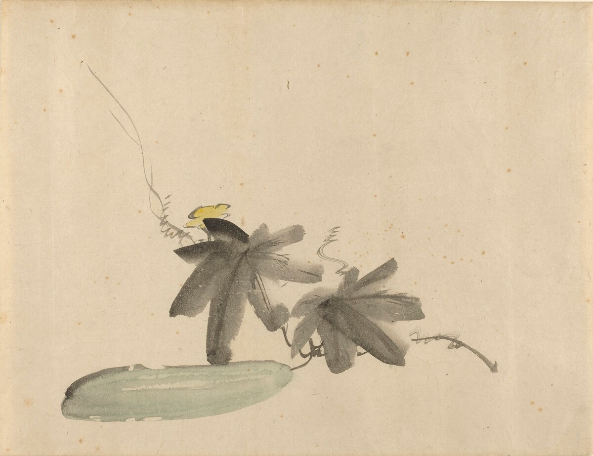 Cucumber with Leaves by Edouard Manet