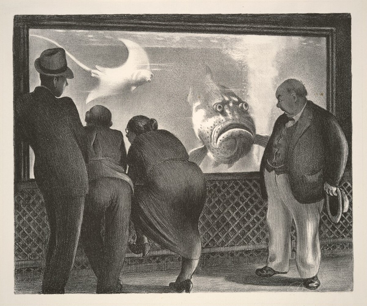 Queer Fish by Mabel Dwight