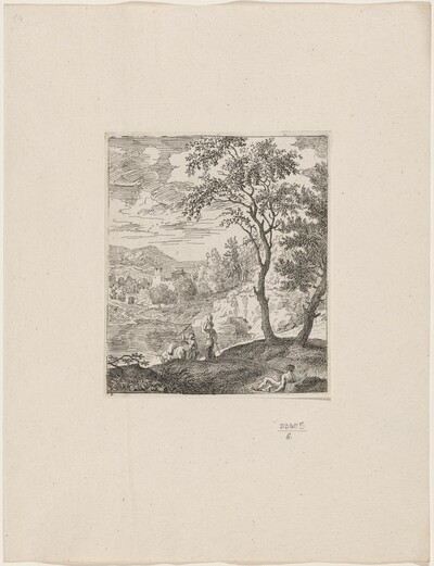 Woman with a Donkey Driver