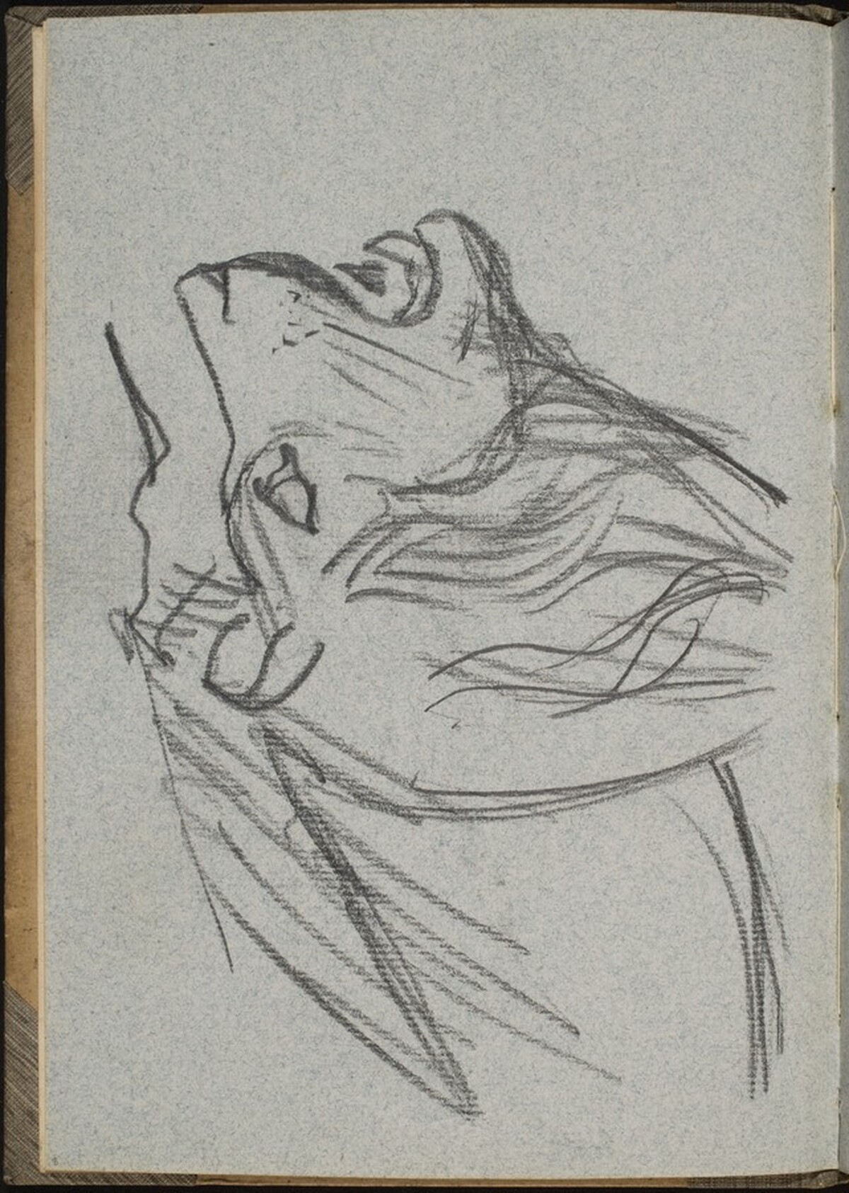 Löwenkopf im Profil (Double Lion Profile) [p. 8] by Max Beckmann