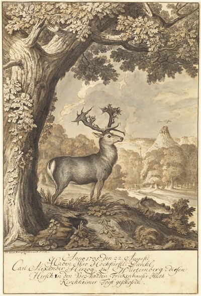 A Stag beneath a Mighty Oak