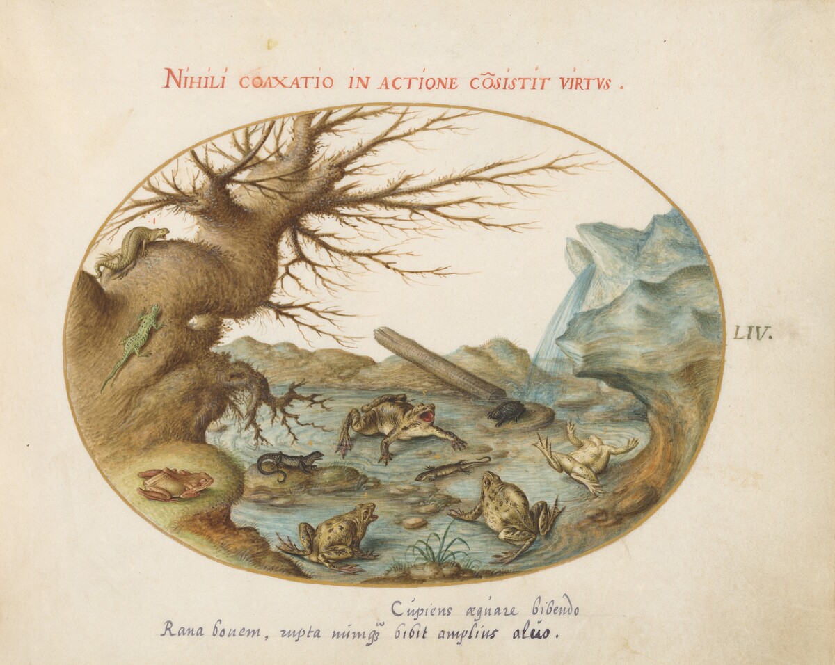 Plate 54: Frogs, Lizards, and Salamanders(?) in a Landscape by Joris Hoefnagel