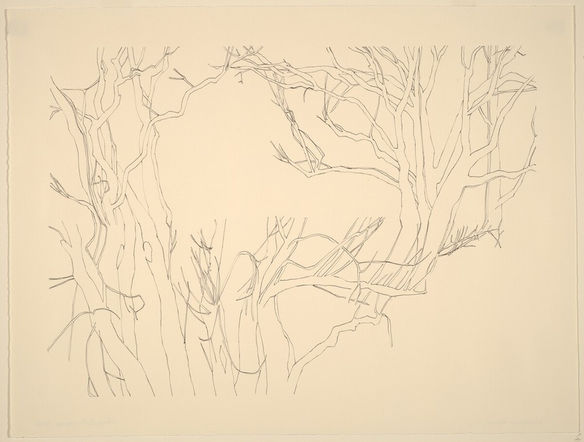 Snokomo Road by Sheigla Hartman