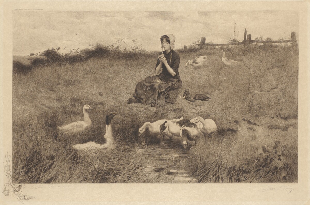 Untitled (Love Me, Love Me Not) by James S. King