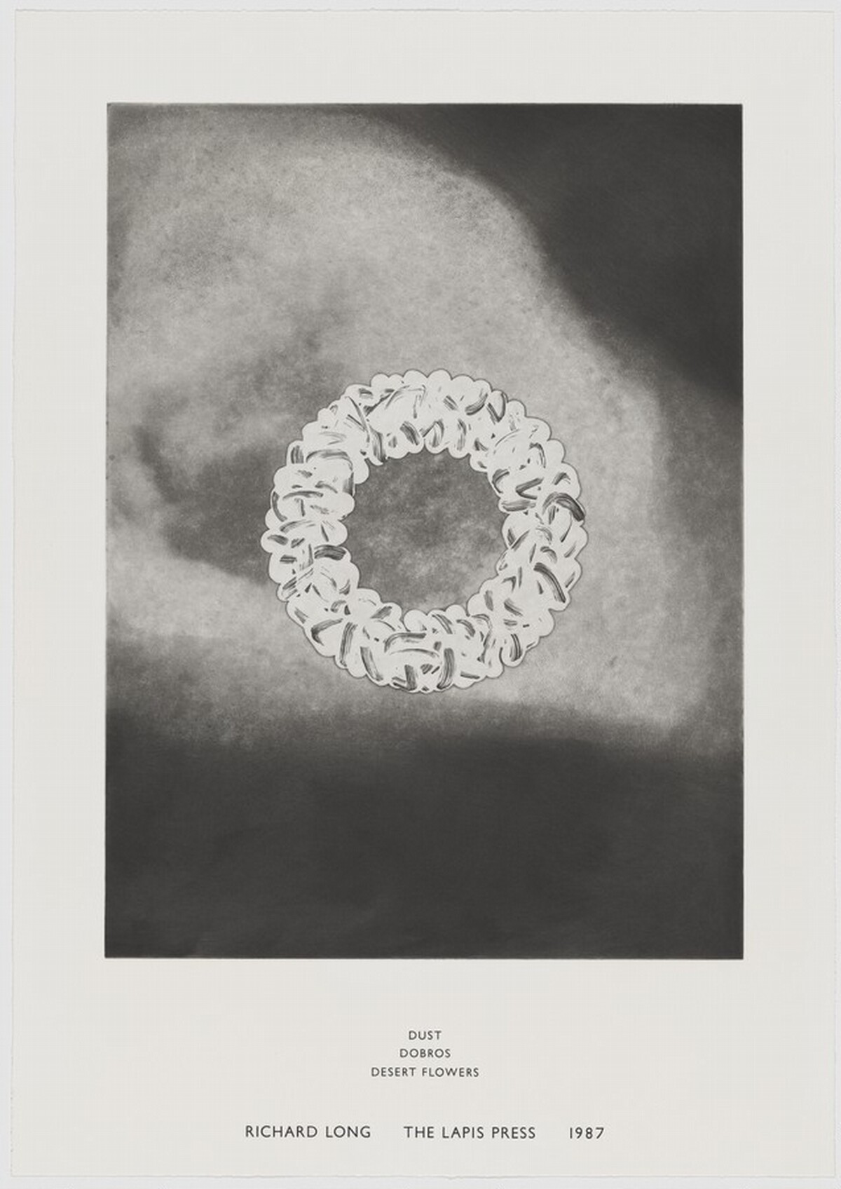 Dust, Dobros, Desert Flowers by Richard Long