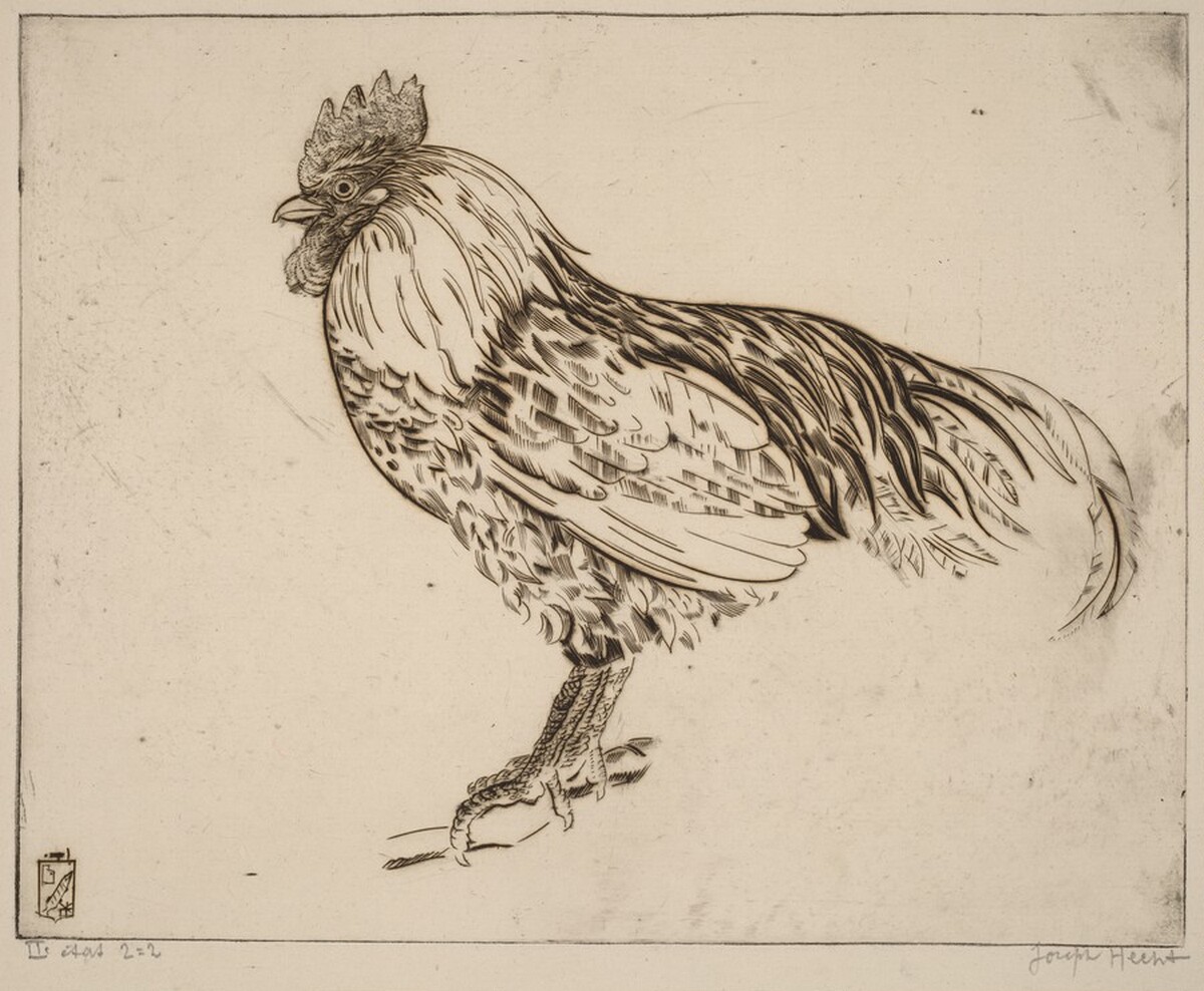 My Cock (Mon coq) by Joseph Hecht