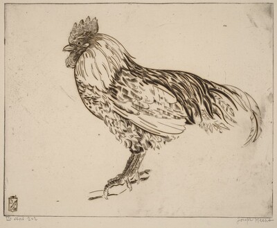 My Cock (Mon coq)