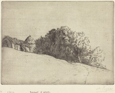 Stand of Trees (Bouquet d'arbres)