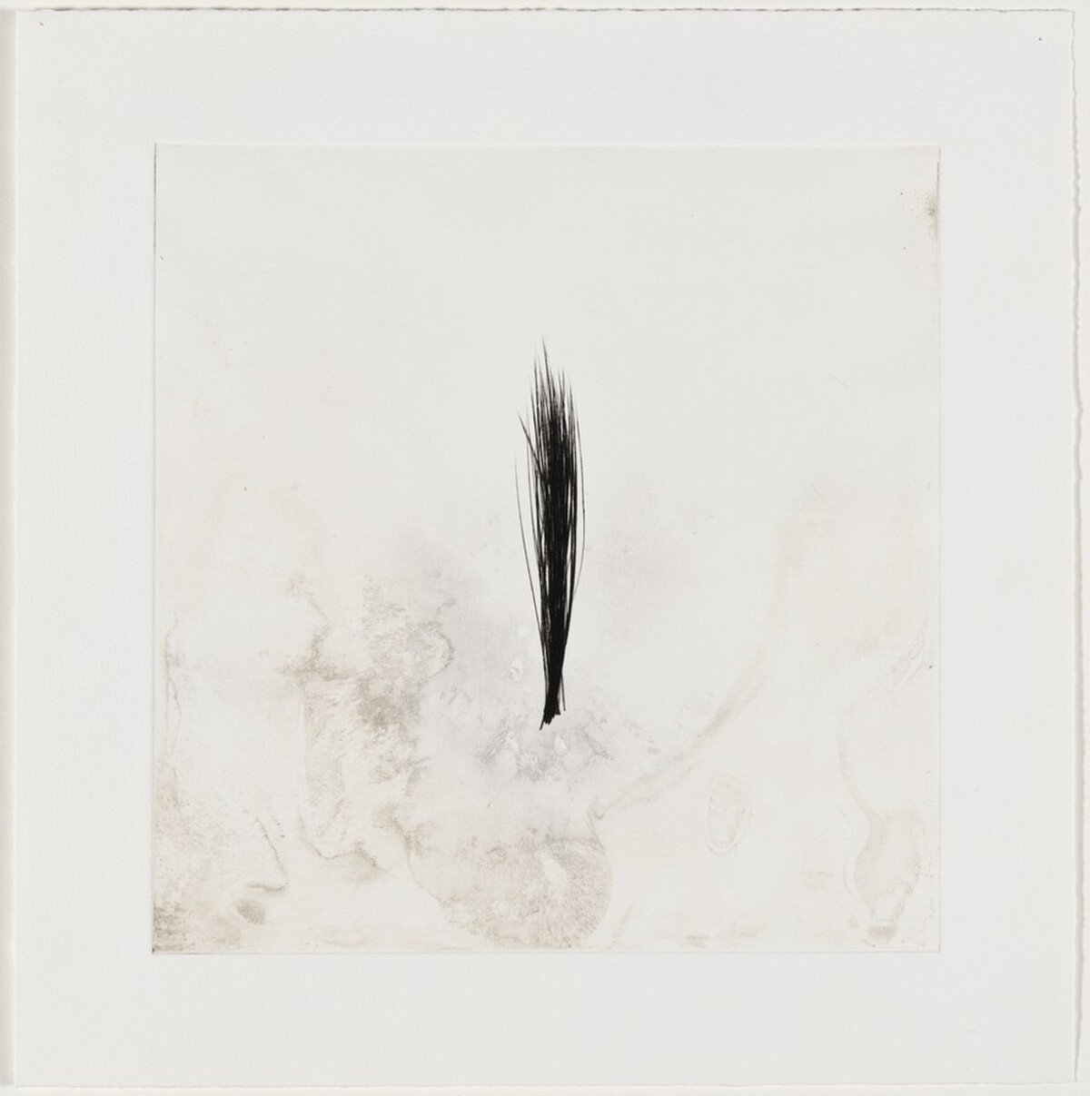 New Growth [working proof 1] by Tom Marioni