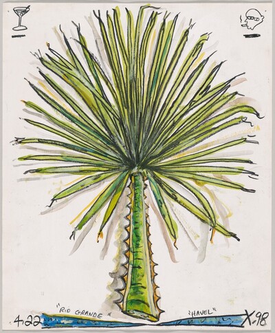 Rio Grande