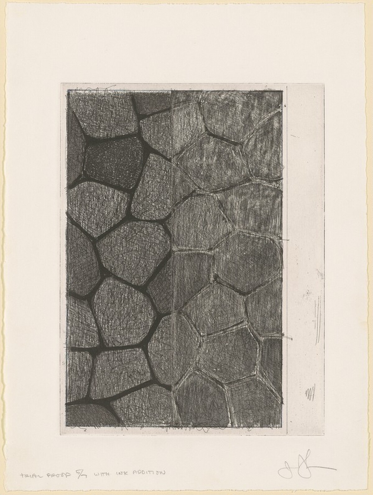 Flagstones (a) [trial proof 5] by Jasper Johns