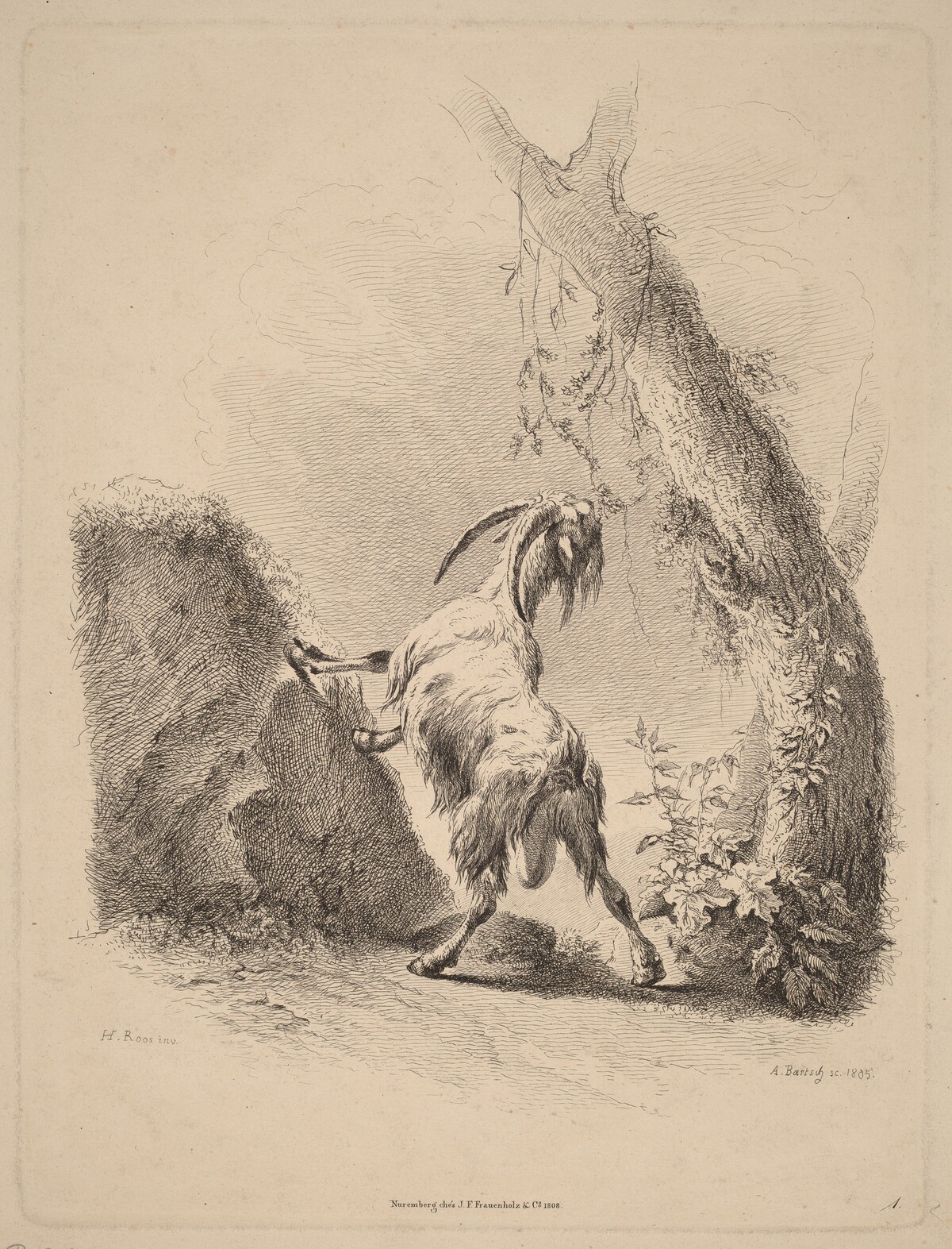 Goat in a Landscape by Adam von Bartsch