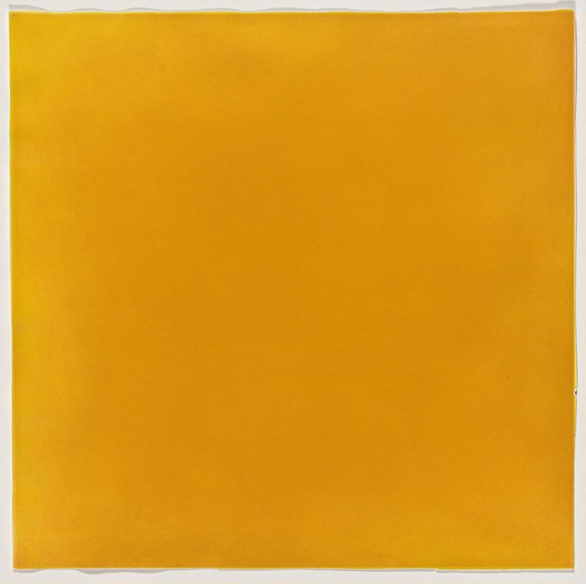 Cottonwood [working proof 4B] by Anne Appleby