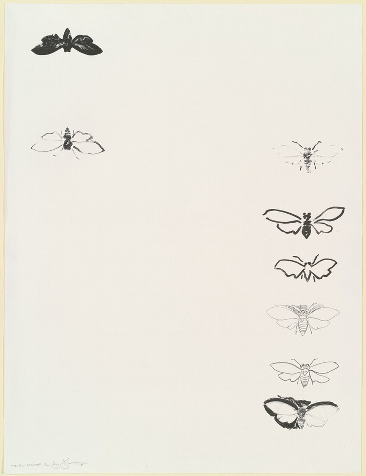 Cicada [trial proof] by Jasper Johns