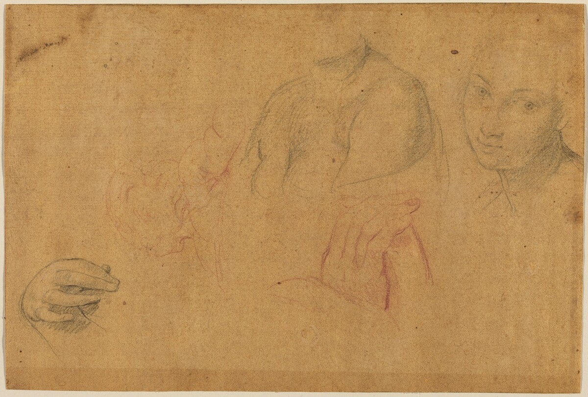 Sketches of Heads and Hands by Pompeo Batoni