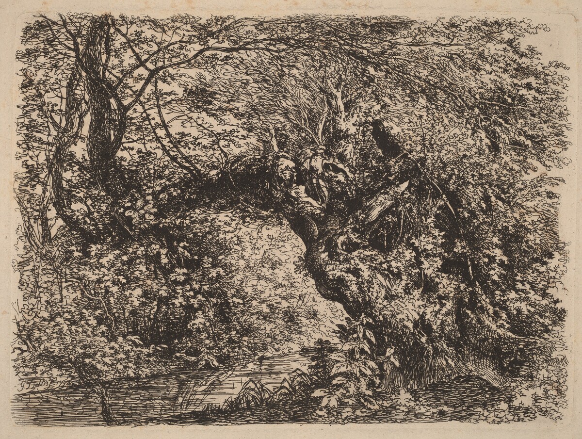An Old Willow by a Stream by Johann Georg von Dillis