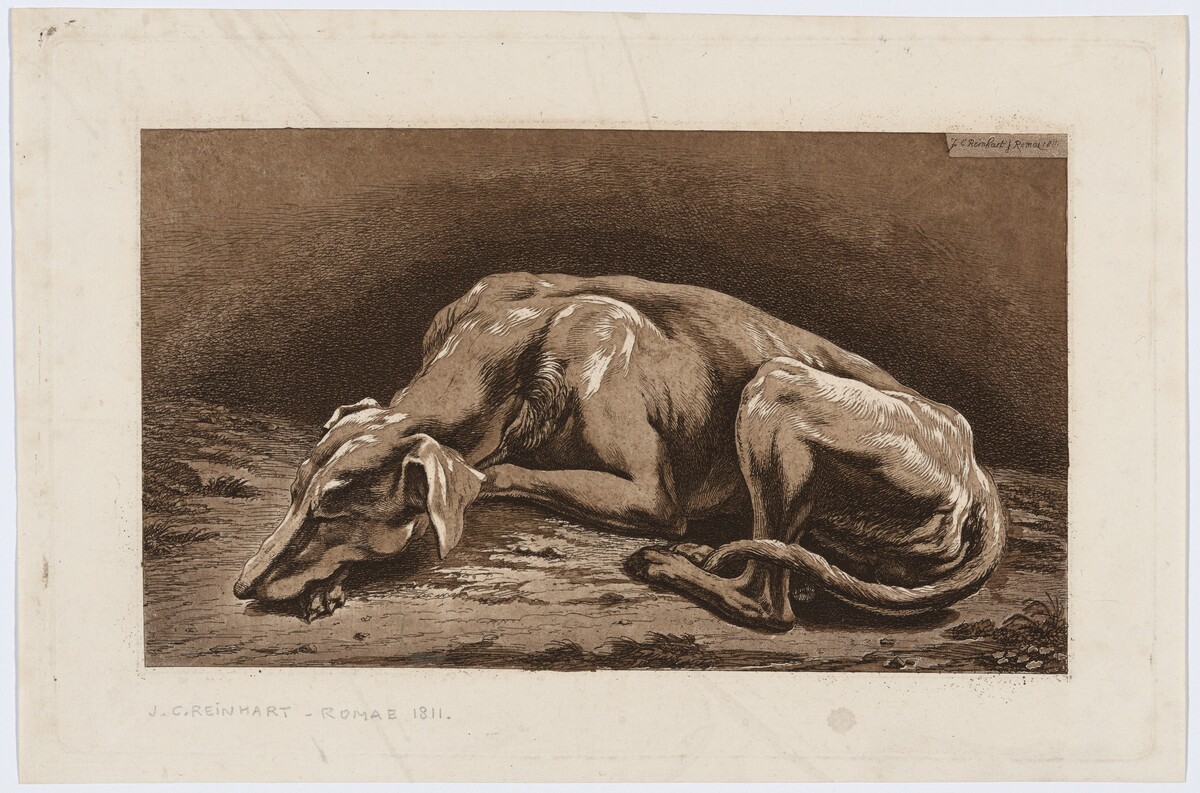 Sleeping Greyhound by Johann Christian Reinhart