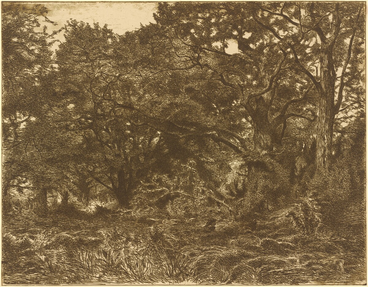 En Foret a Breau by Adolphe André Wacquez