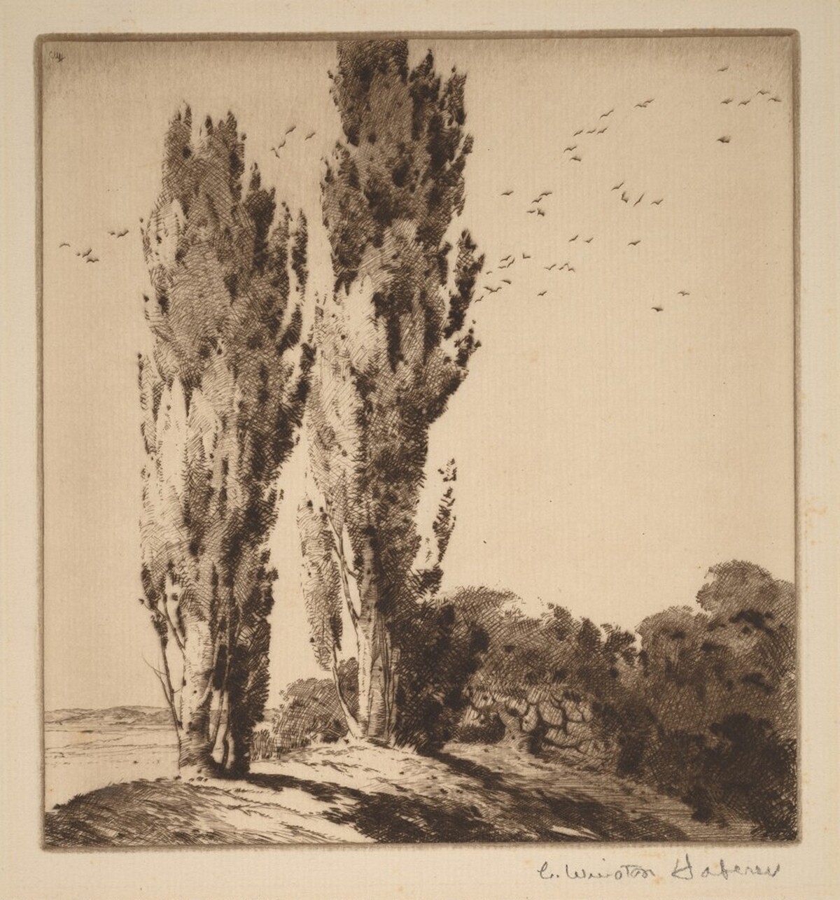 Two Poplars on a Hilltop by Charles Winston Haberer