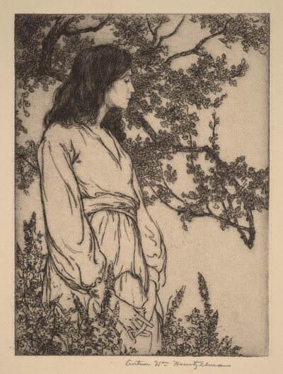 In the Twilight