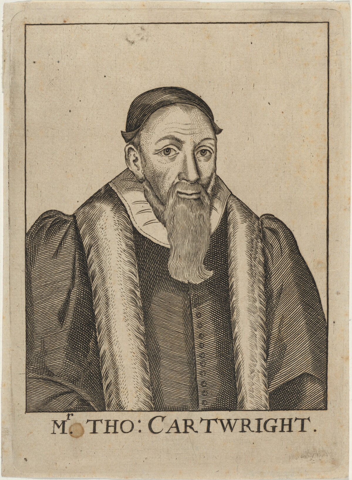 Thomas Cartwright, Puritan Divine by Unknown Artist
