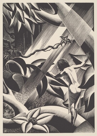 Rima