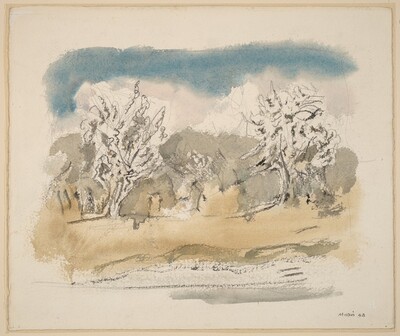 Pear Trees in Blossom #4, Saddle River District, New Jersey
