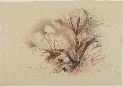 Giardino No. 13 (Garden No. 13)